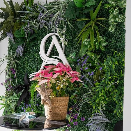 Apartamentos Alsa Conil 科尼尔-德拉弗龙特拉 外观 照片